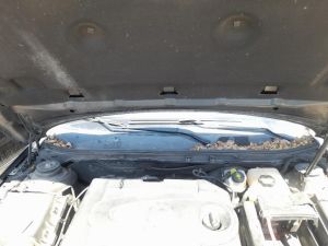 MECCANISMO TERGICRISTALLO   OPEL INSIGNIA «A» SW (2013) [it053866]