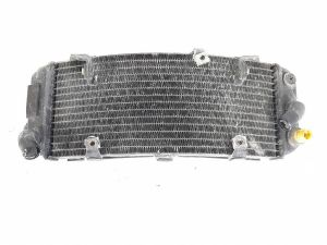 RADIATORE ACQUA   YAMAHA TMAX (2001) [it054212]