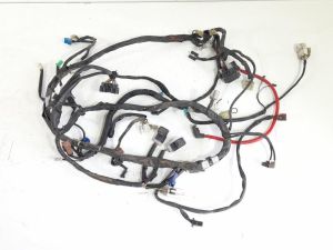 CABLAGGIO COMPL.   YAMAHA TMAX (2001) [it054220]