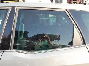 CRISTALLO SCENDENTE PORTA POST. SX. OPEL MERIVA «B» (2014) [it054830]